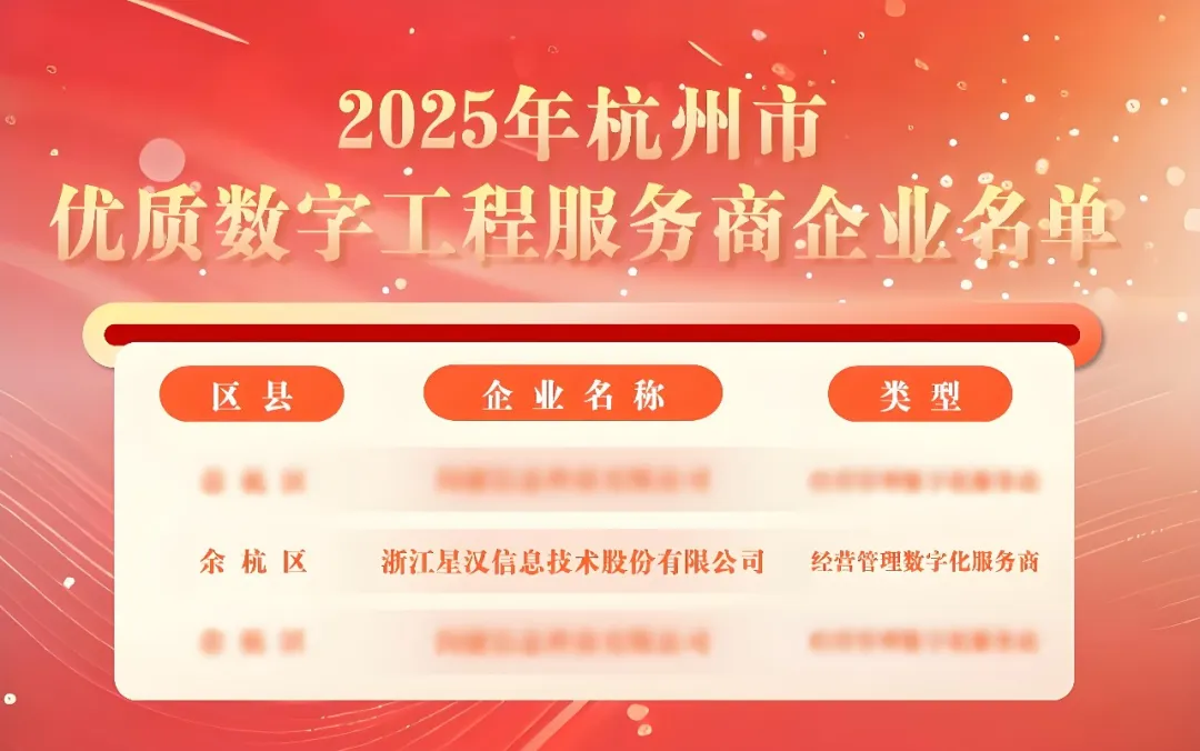 时间作舟,渡数字之海:星汉信息的“深耕”与“笃行”配图